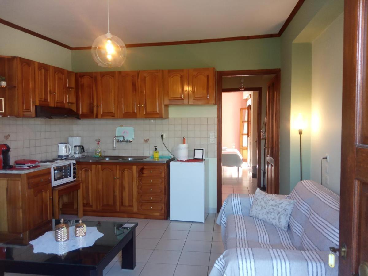 Small Town Apartment Konitsa Esterno foto