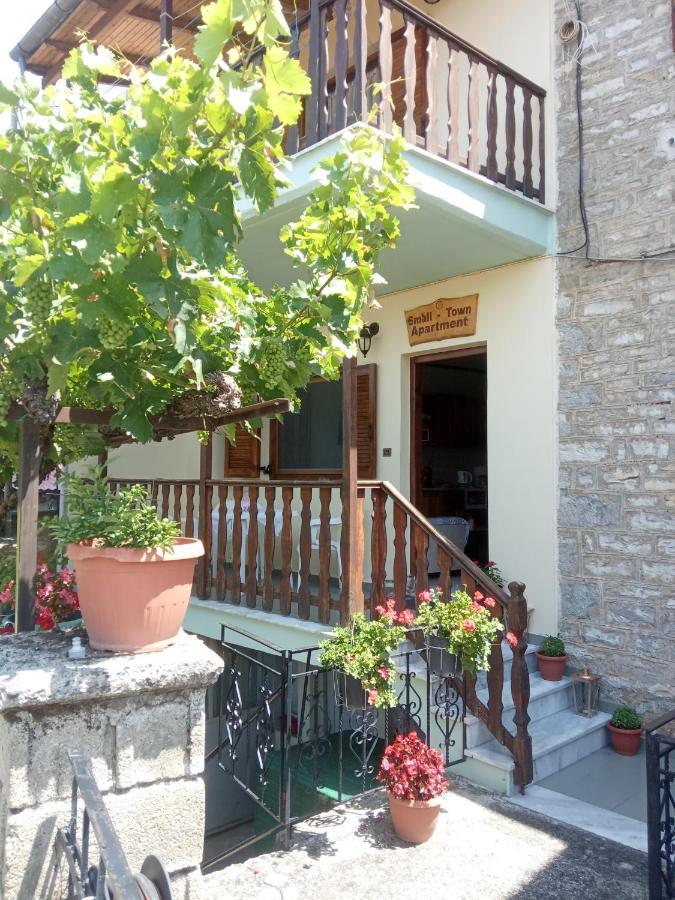 Small Town Apartment Konitsa Esterno foto