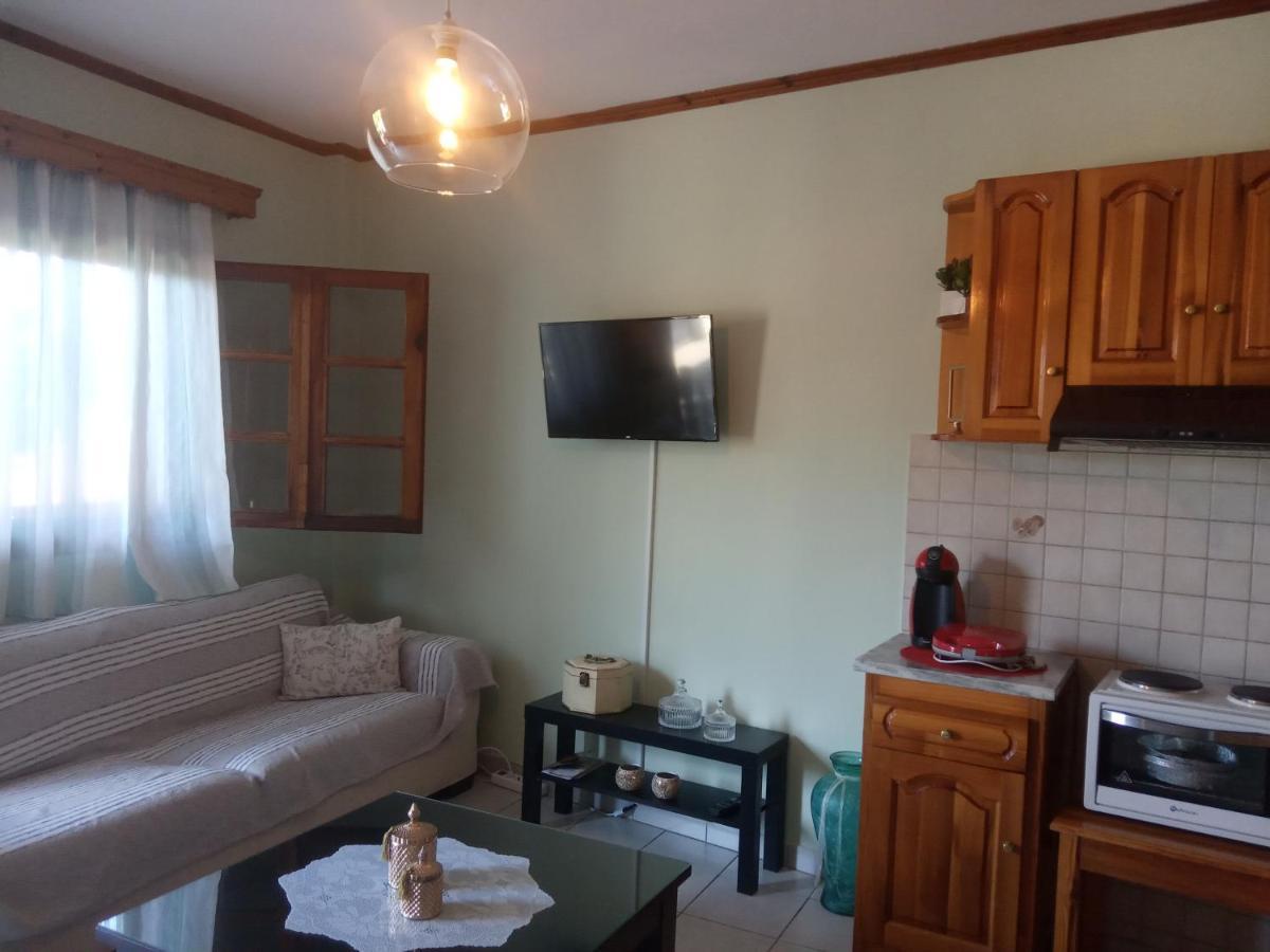 Small Town Apartment Konitsa Esterno foto