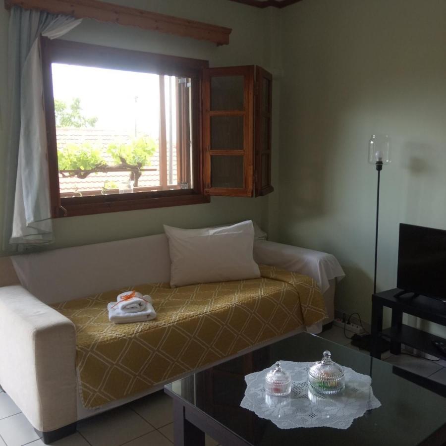 Small Town Apartment Konitsa Esterno foto